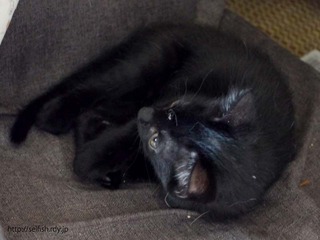 180626_01.jpg