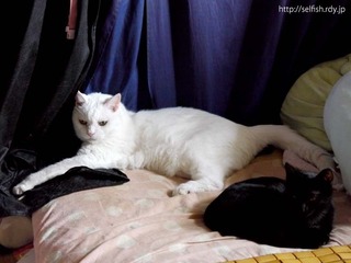 180818_01.jpg