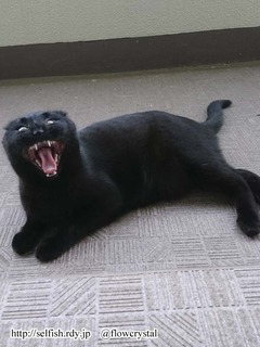 190428_01.jpg