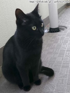 190428_02.jpg